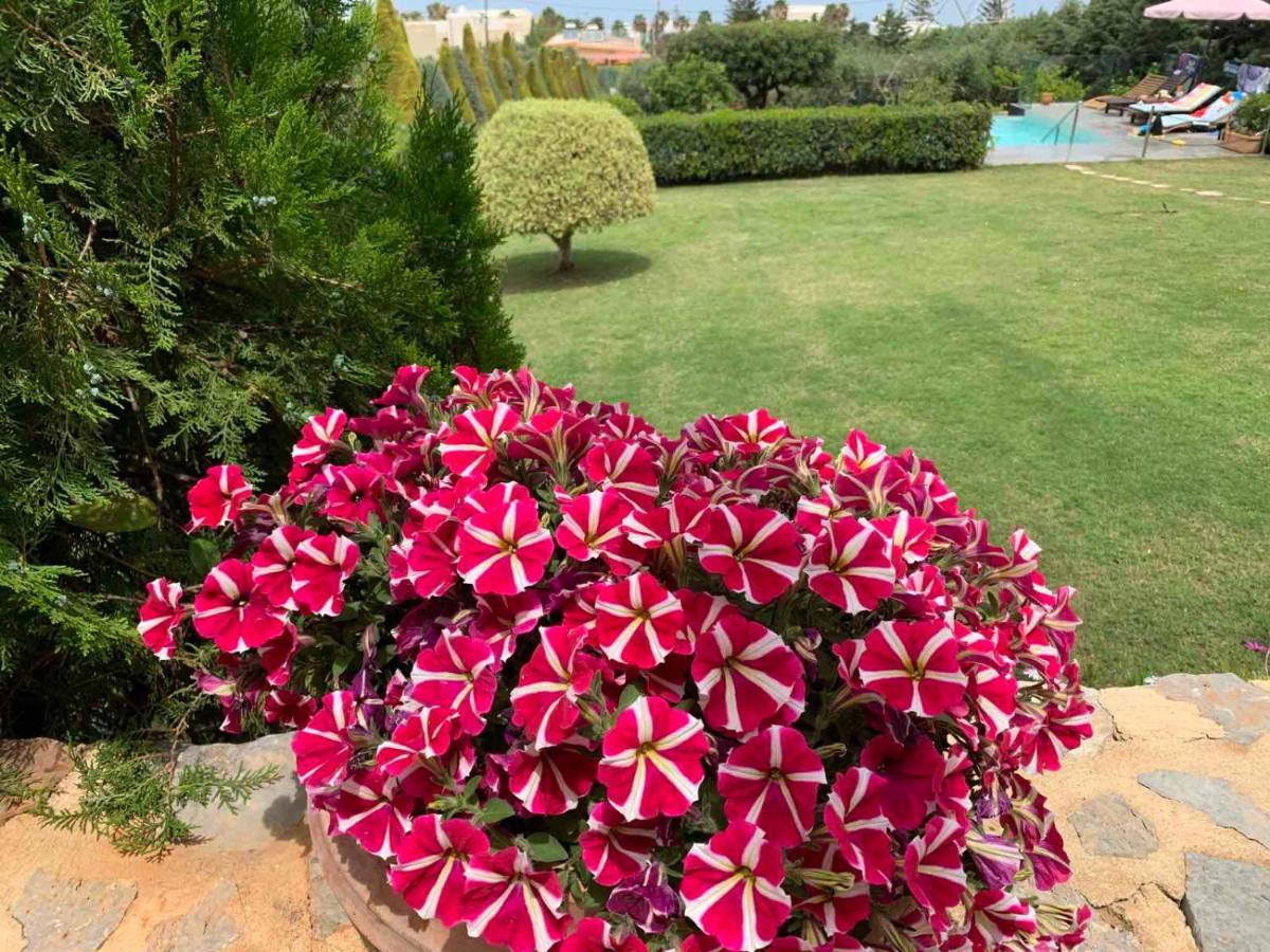 Golden Crest Villa Limenas Chersonisou Exterior foto